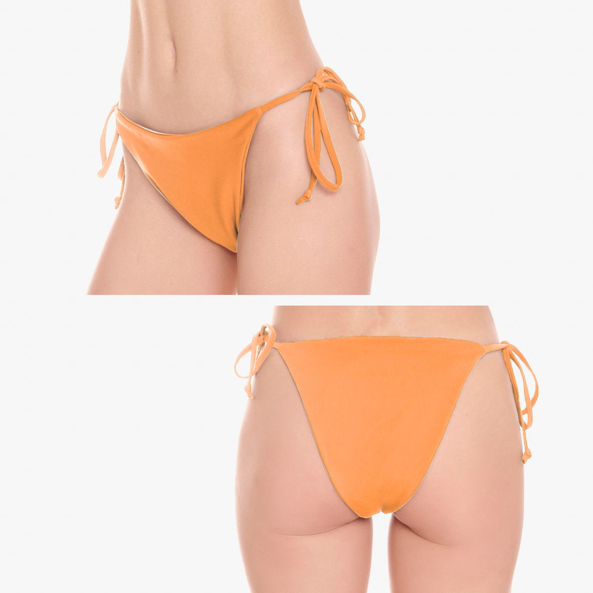 BELLAMY BOTTOM
